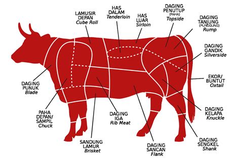 bagian daging sapi homecare