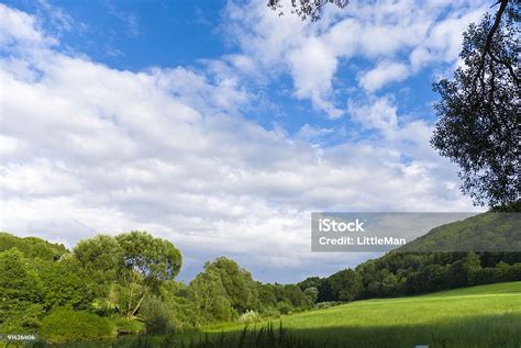 Greenfield Stock Photo Download Image Now Agricultural Field