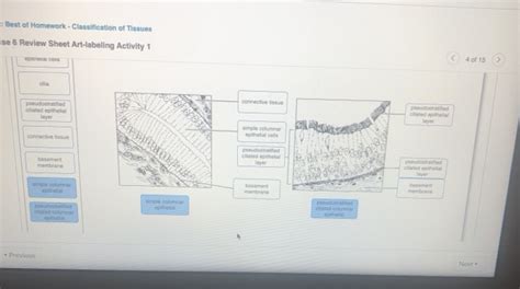 Best Of Homework Classification Of Tissues Ise 6 Chegg