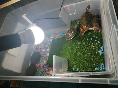 How To Make An Above Tank Basking Area For Turtles Artofit