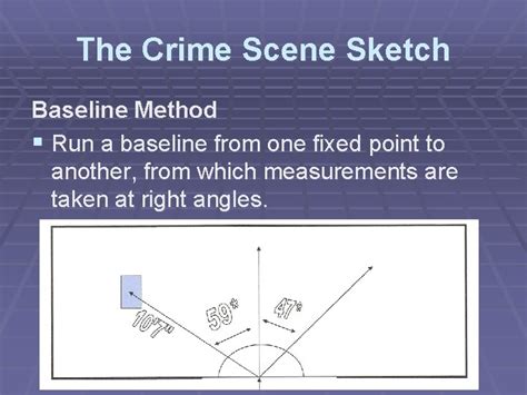 The Crime Scene Sketch The Crime Scene Sketch