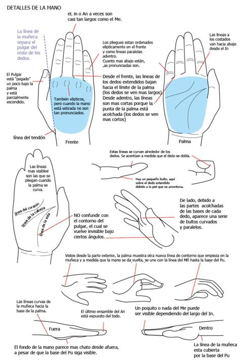 Tutorial Como Dibujar Manos