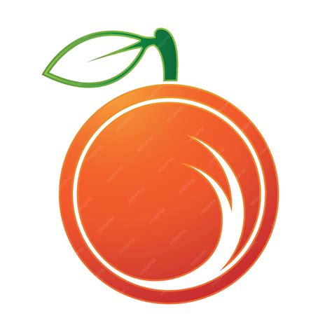 premium vector orange logo design