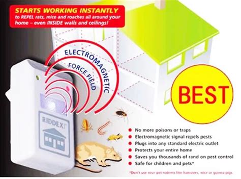 RIDDEX PLUS PEST REPELLING AID Lazada PH