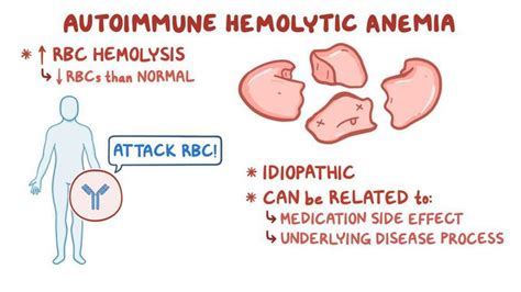 What Causes Hemolytic Anemia MEDizzy