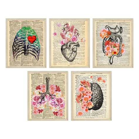 Buy Insire Nurse Office Decor Anatomy Art Nurse Decor Set Of X