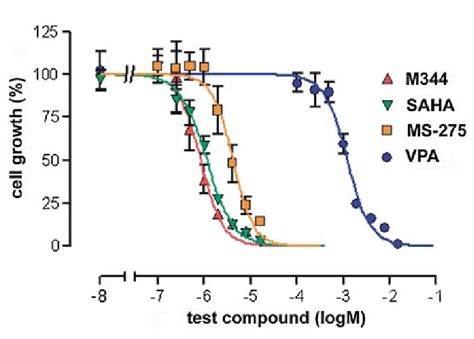 Proliferation Assay Of Malignant Melanoma Monolayer B16 F10 Cell