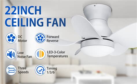 Amazon Regair Ceiling Fans With Lights DC Motor 22 Inch Flush