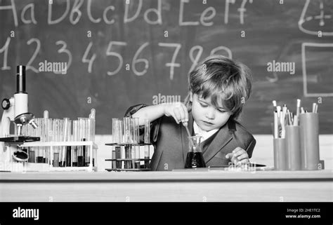 School Kid Scientist Studying Science Biology School Laboratory