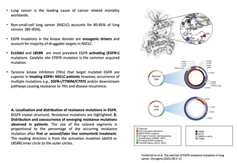 Ccm Protac Sciences Ccm Biosciences