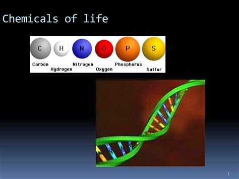 Ppt Chemicals Of Life Powerpoint Presentation Free Download Id9345326