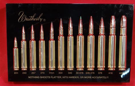 Weatherby bullet display, encased, includes 12 calibers