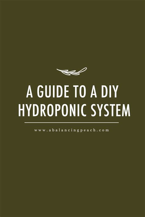 A Guide to a DIY Hydroponic System