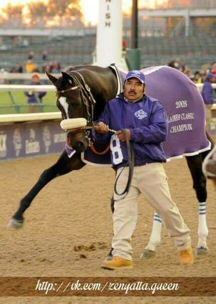 Zenyatta | Zenyatta horse, Thoroughbred horse racing, Thoroughbred horse