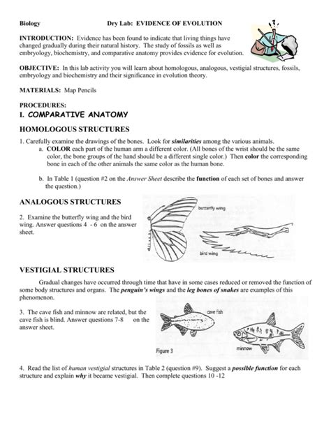 I Comparative Anatomy Homologous Structures