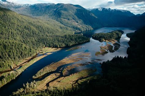 20 Photos From The Great Bear Rainforest To Inspire Nimmo Bay