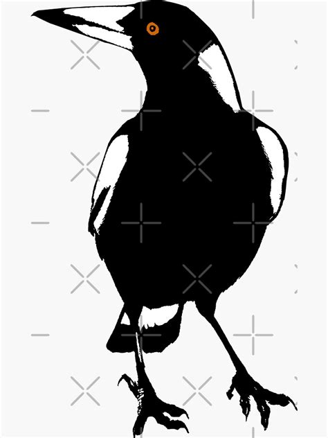 Australian Magpie Sticker For Sale By Byrnsey Redbubble