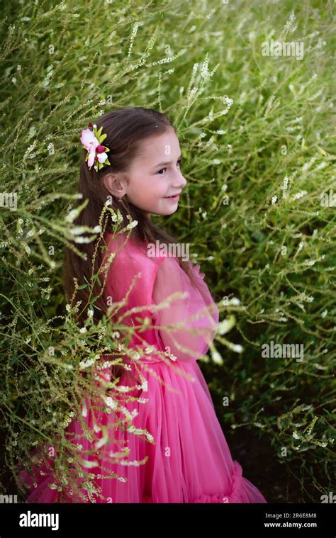 Petite fille en robe rose Banque de photographies et dimages à haute