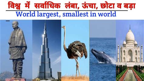 The Longest Biggest And Highest In World