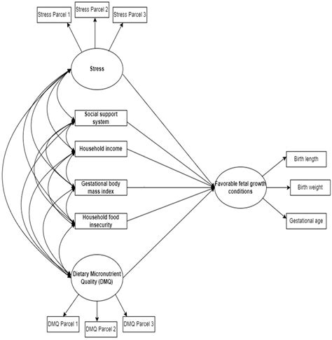 Nutrients Free Full Text Effects Of Nutritional And Social Factors