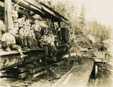 Logging crew :: Sedro-Woolley Heritage | Forest pictures, Old trees ...