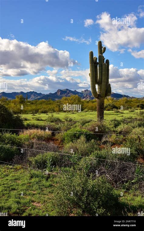 The Superstition Mountain Range Landscape Near Apache Junction Arizona