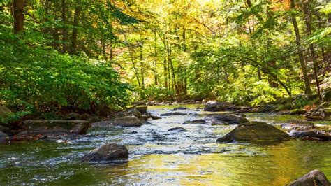 Top 10 State Parks In New Jersey NewHomeSource