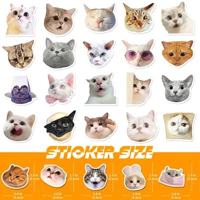 Картинки на телефон кошки - 84 фото