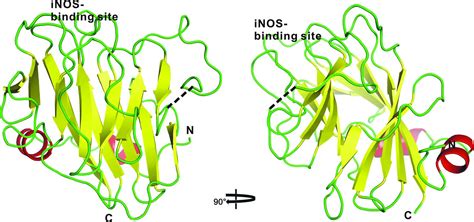 Iucr Crystal Structure Of The Spry Domain Of Human Spsb In The Apo State