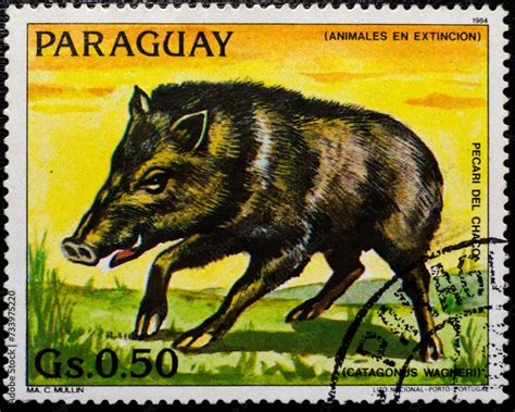 Uruguay postage stamp of endangered animals Stock Photo | Adobe Stock