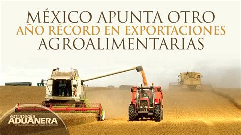 México Apunta Otro Año Récord En Exportaciones Agroalimentarias