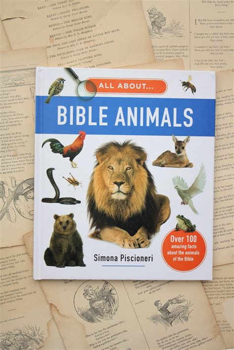 All About Bible Animals Little Book Big Story