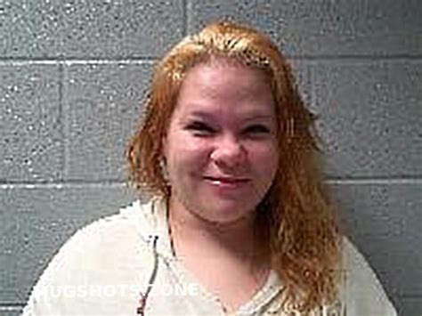 Reed Crista Leeann Huron County Mugshots Zone