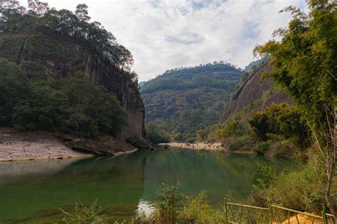 Premium Photo Bamboo And Pine Trees Growing On A Rocky Cliff Within