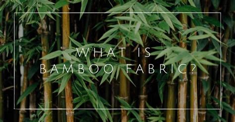 News Bamboo Fabric Benefits Why Its A Great Sustainable 50 Off