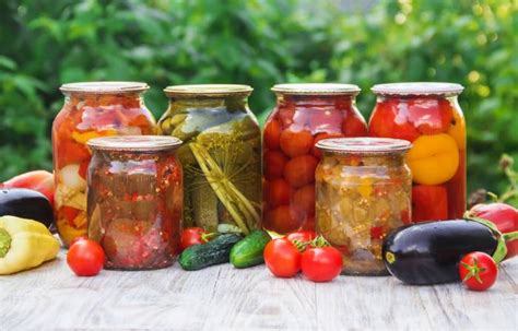 Over 200 Canning and Preserving Recipes