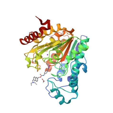 RCSB PDB 6UOC Crystal Structure Of Danio Rerio Histone Deacetylase 6