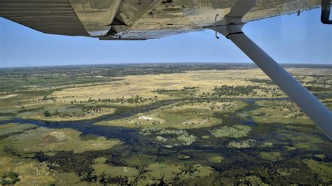 Okavango Delta In Botswana De Beste Tips Voor Een Safari