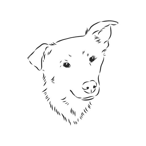 Cachorro Vira Lata Desenho