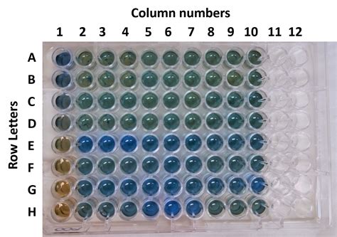 Microplate Assay For Quantification Of Soluble Protein In Ground Coral