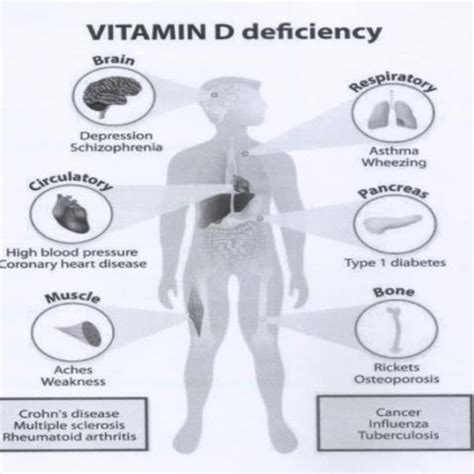 (PDF) VITAMIN D DEFICIENCY IN NON-SKELETAL DISEASES: MORE THAN JUST A COEXISTENCE??