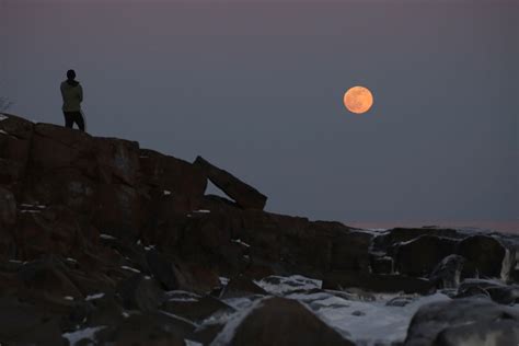 Astro Bob Full Moon Forest Creatures Curiosity Photographs Martian