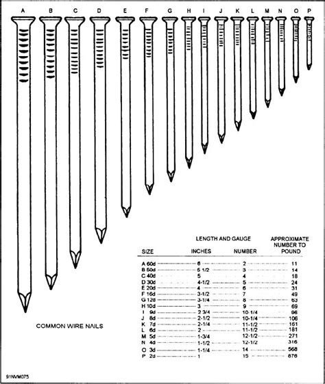 Figure Types Of Nails And Nail Sizes