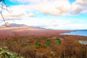 Guide Selected Onsen Ryokan Best In Japan Private Hot Spring Hotel Open Air Bath Luxury Stay