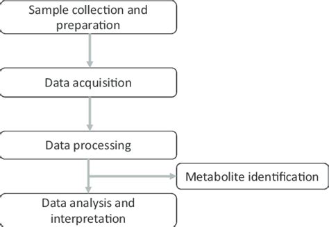 Typical Untargeted Metabolomics Workflow Download Scientific Diagram