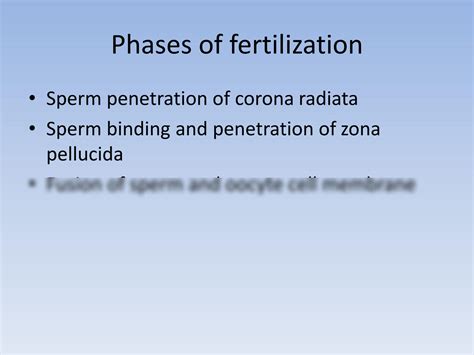 Solution Fertilization Cleavage And Blastocyst Studypool