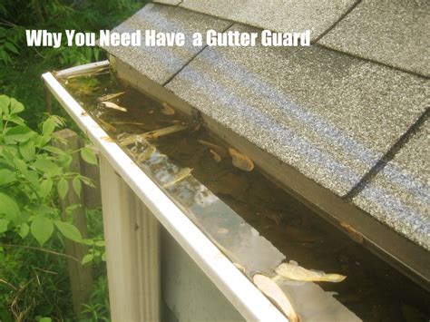 Benefits Of Roof Gutter Guard Roohome