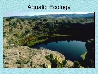 PPT - Aquatic Ecology PowerPoint Presentation, free download - ID:2014758