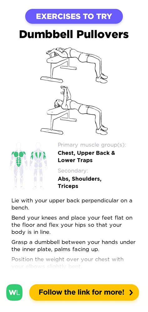 Dumbbell Pullovers Is A Gym Work Out Exercise That Targets Chest And