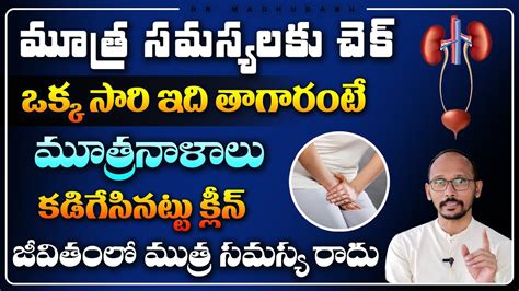 Best Remedy For Urine Problems Works Best For Urinary Retention Dr Madhubabu Health